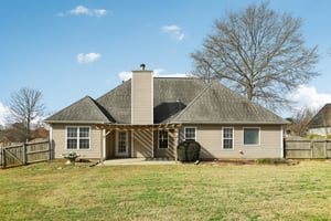 Red Tip Ct-S1903-037.jpg