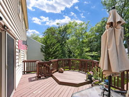  Photo 45
