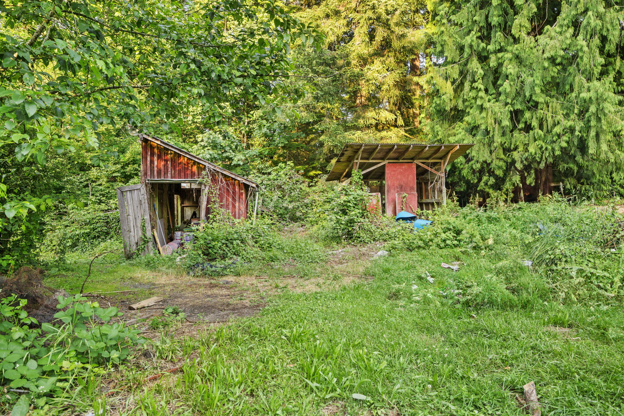  Photo 40