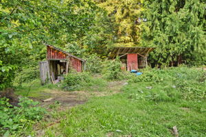  Photo 39