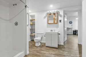 Lower Level - Bathroom