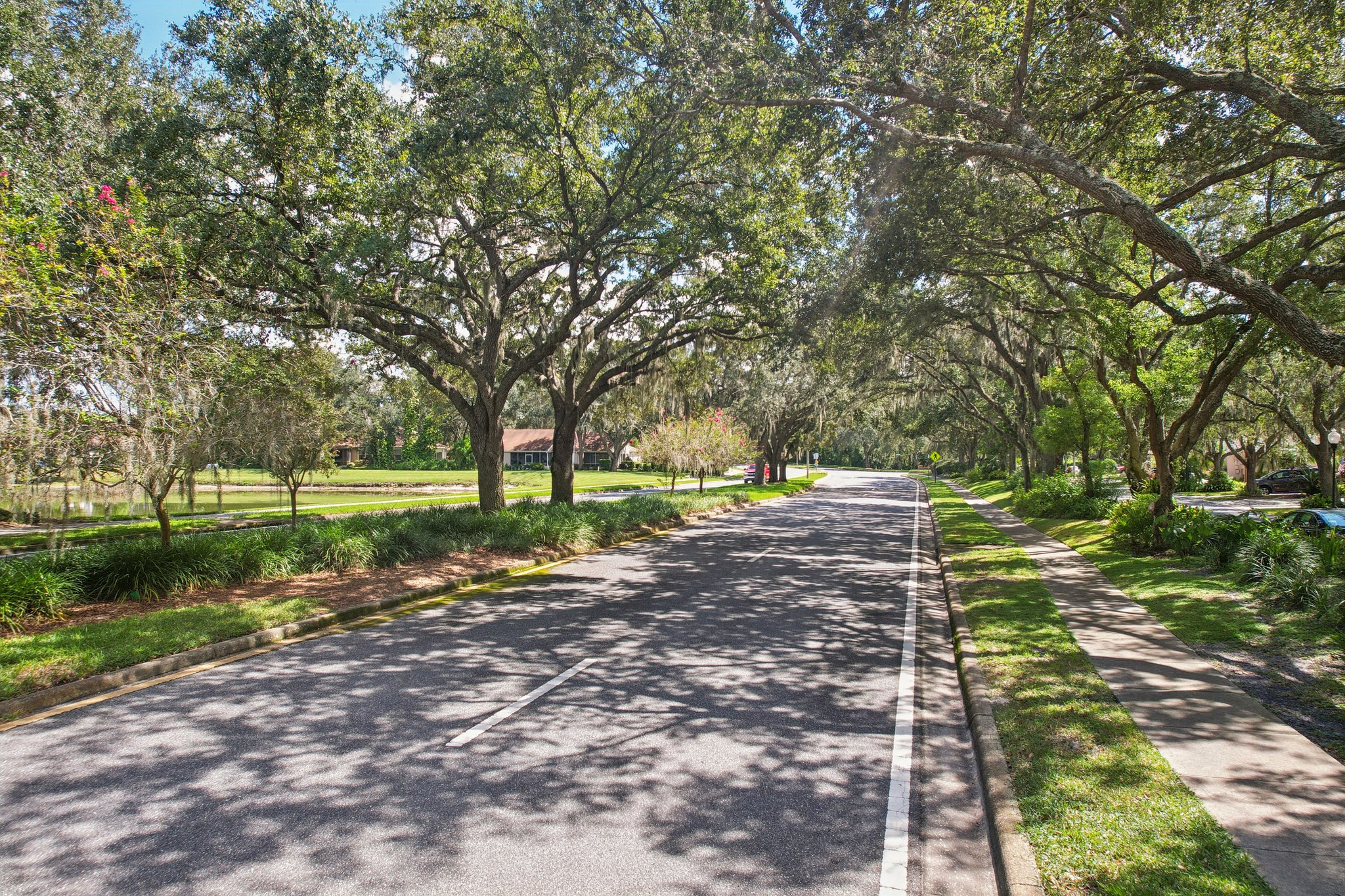 Lochmead Terrace-S1709-062.jpg