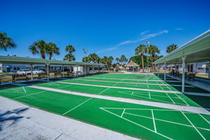 26-Shuffleboard