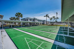 28-Shuffleboard