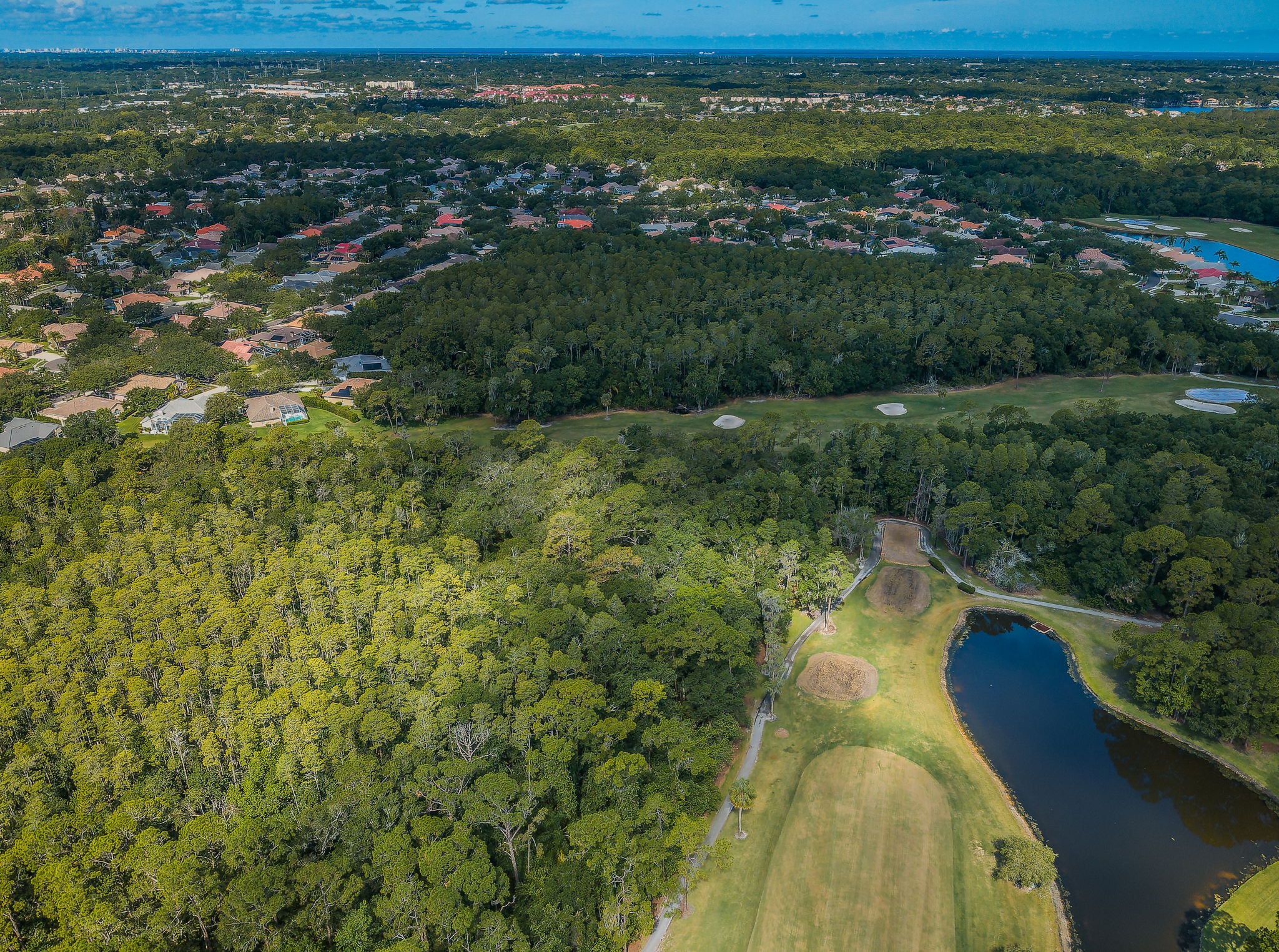 Aerial (10)