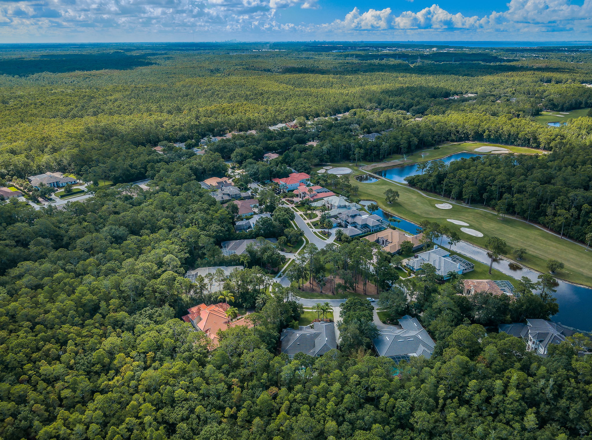 Aerial (14)