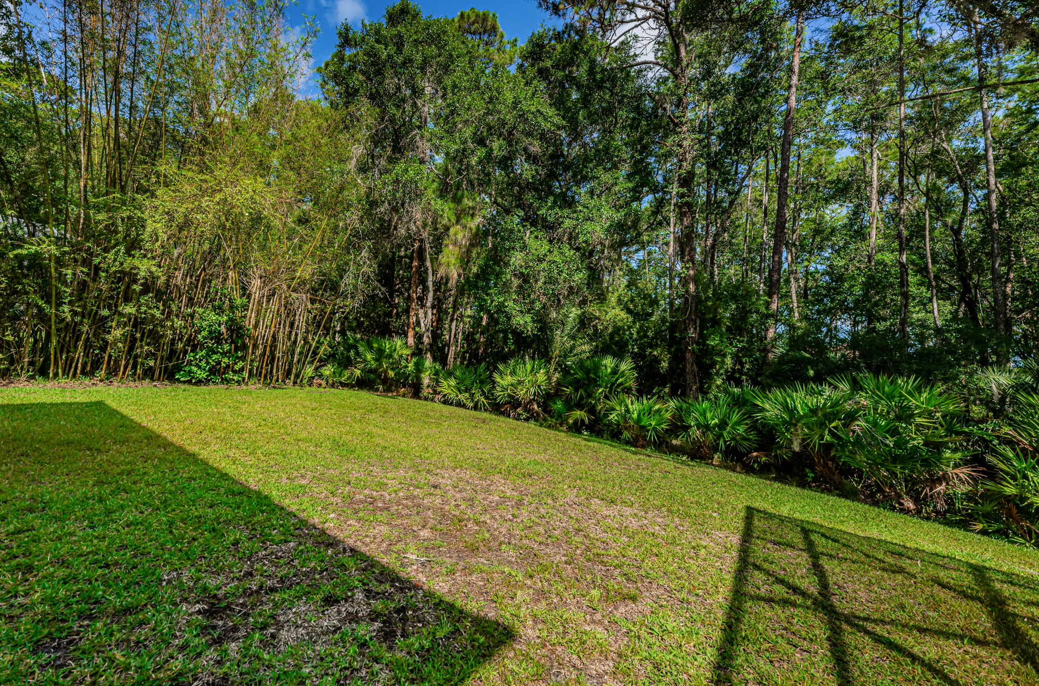 Backyard5