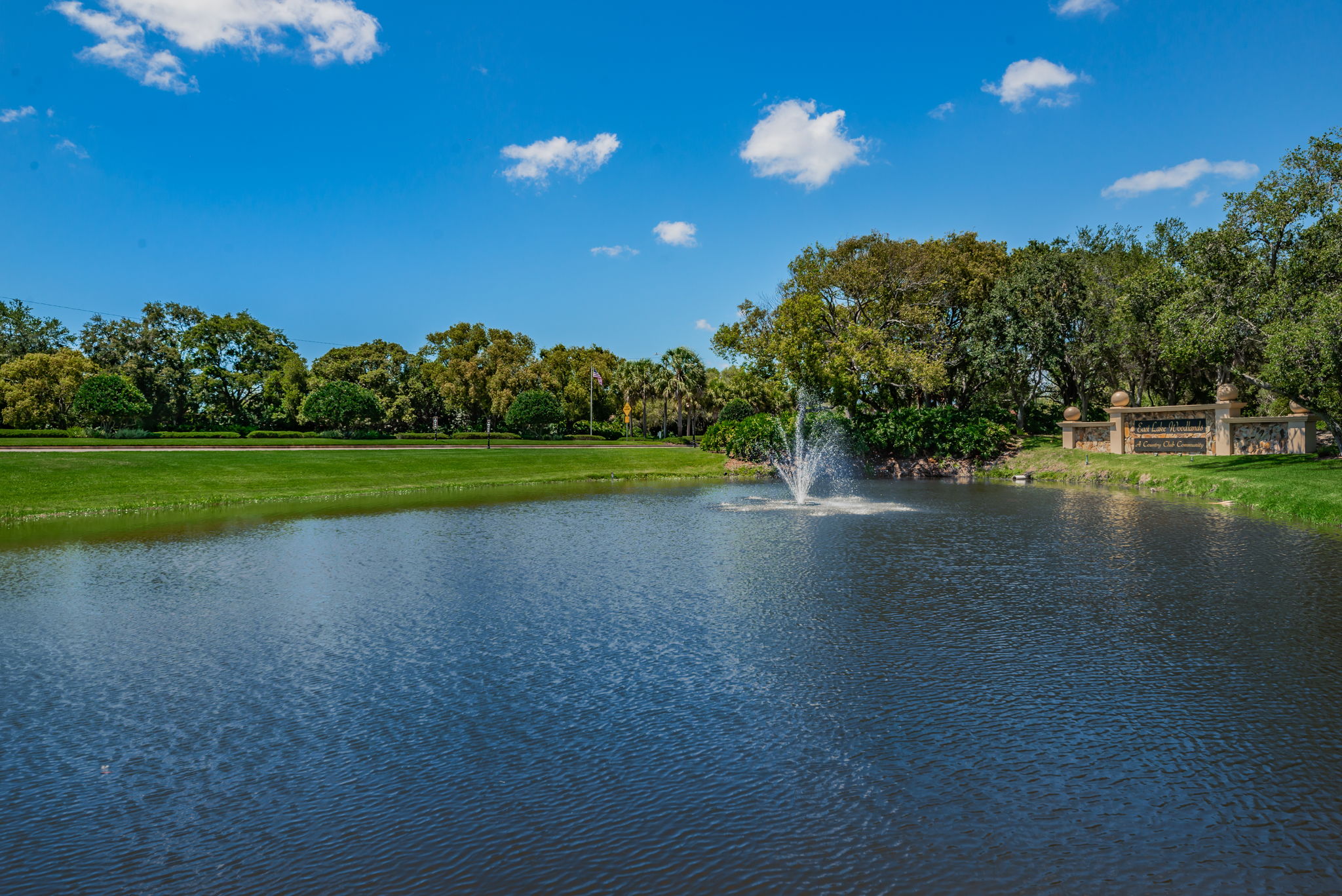 8-East Lake Woodlands Gated Entry8