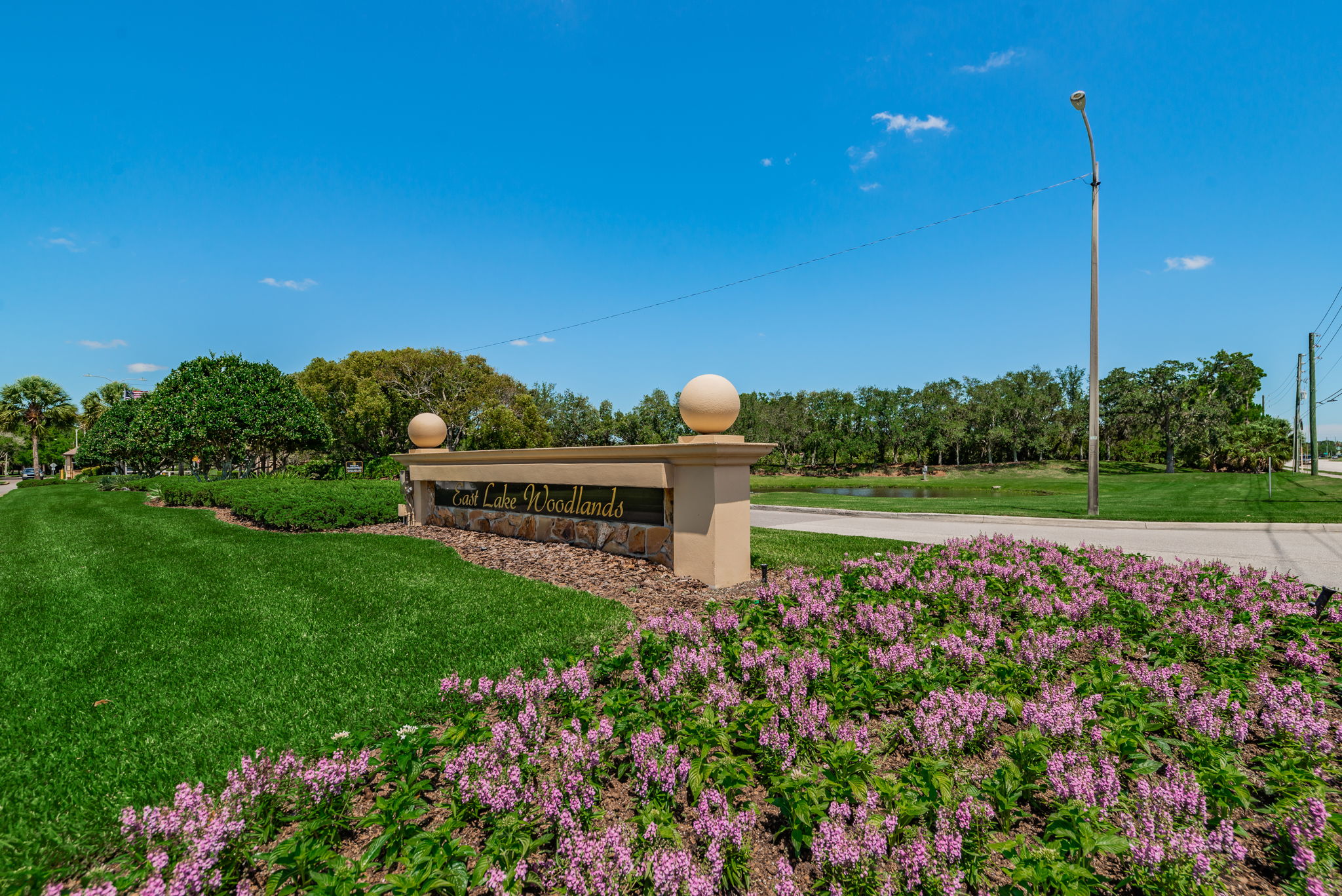 2-East Lake Woodlands Gated Entry2