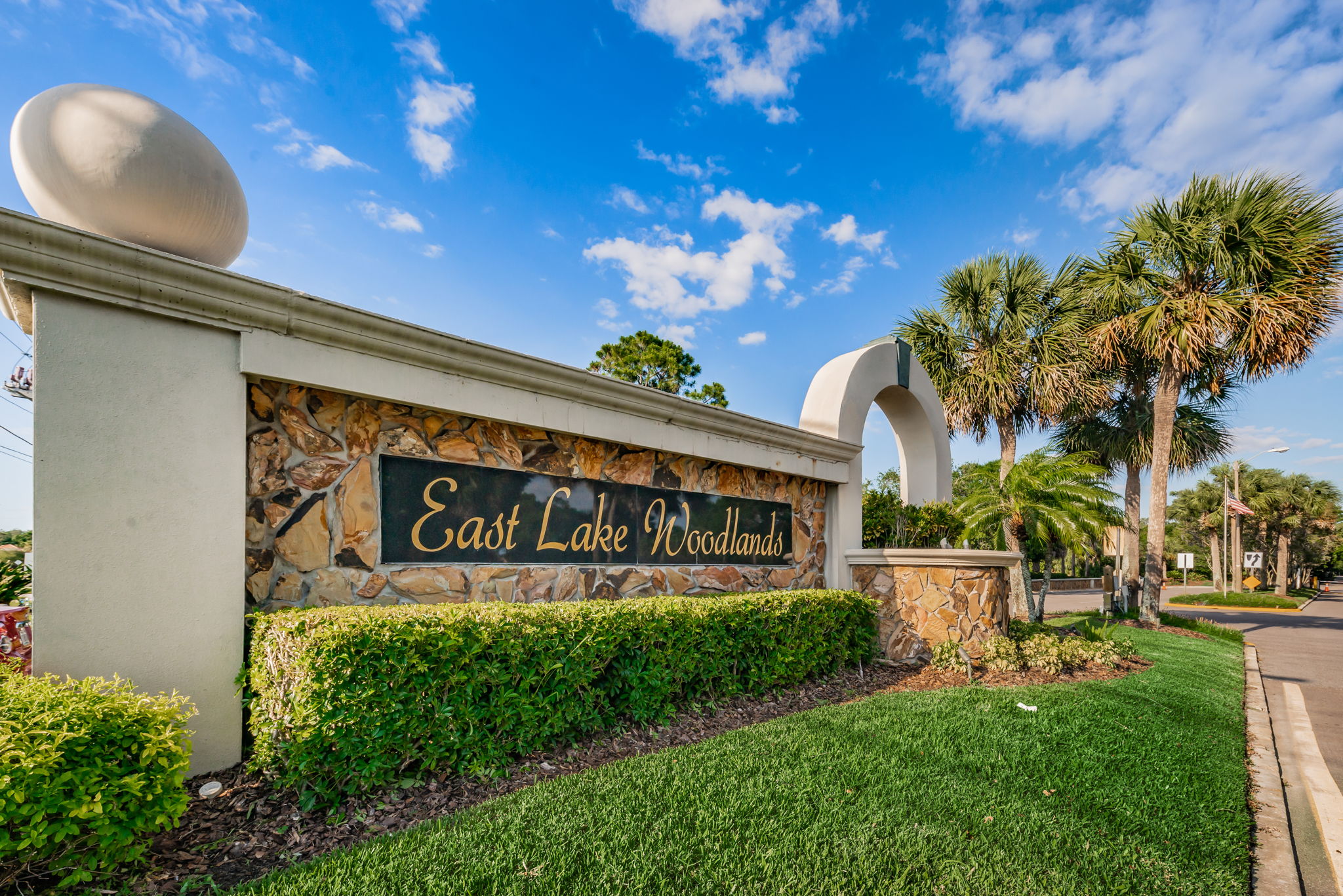 11-East Lake Woodlands Gated Entry11
