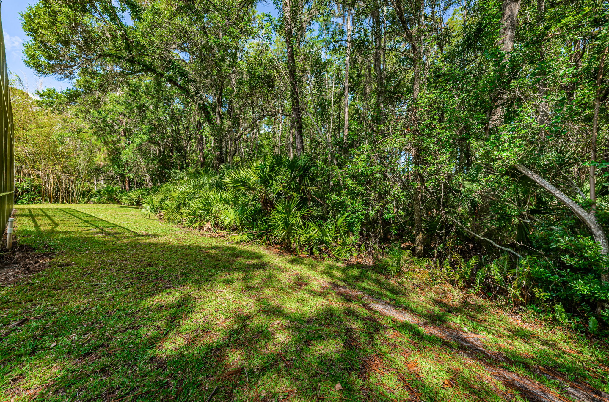 Backyard2
