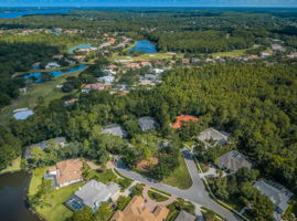 Aerial (9)