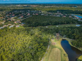 Aerial (10)