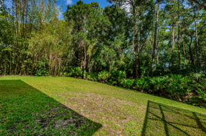 Backyard5