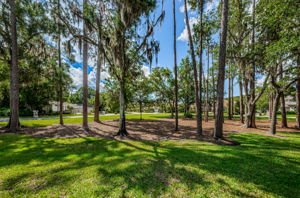 Frontyard View