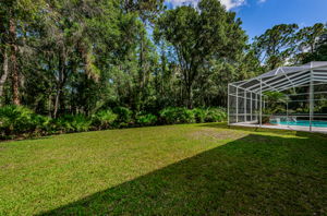Backyard6