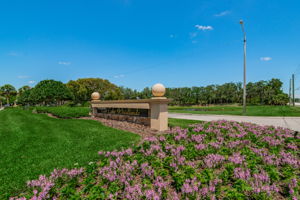 2-East Lake Woodlands Gated Entry2