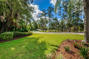 Frontyard
