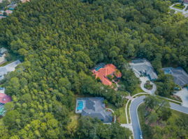 Aerial (15)
