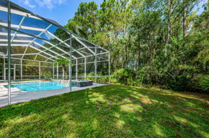 Backyard1