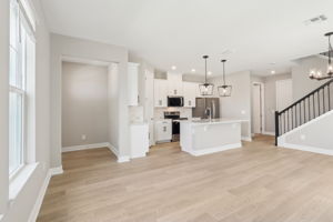 Orlando - Silverleaf Reserve - 5217 Passion Flower Way Winter Garden FL 34787 - 006