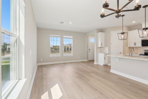 Orlando - Silverleaf Reserve - 5217 Passion Flower Way Winter Garden FL 34787 - 009