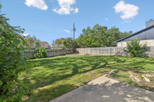 Spacious Backyard