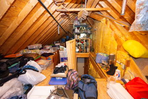  Photo 45