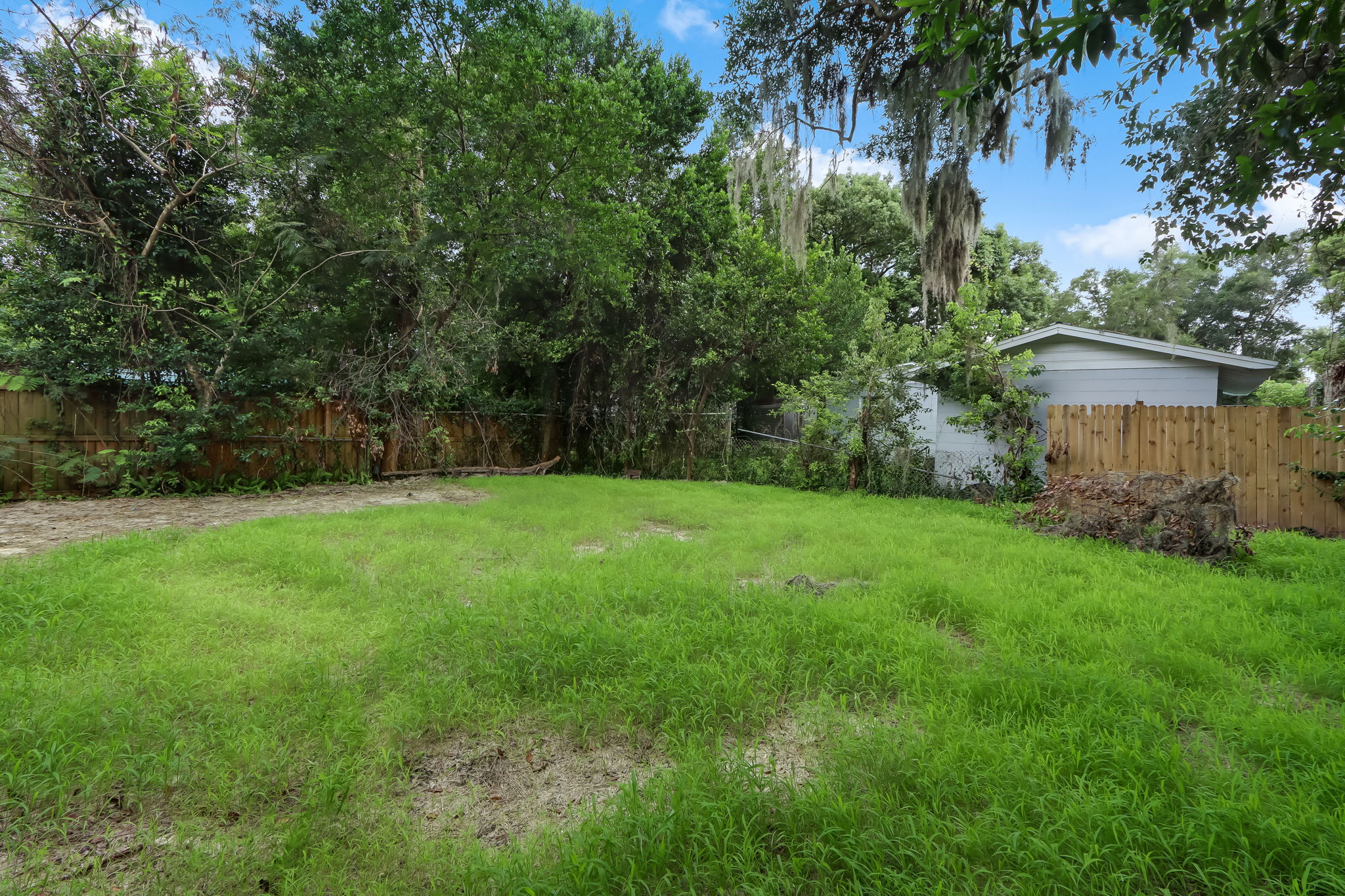 Back Yard