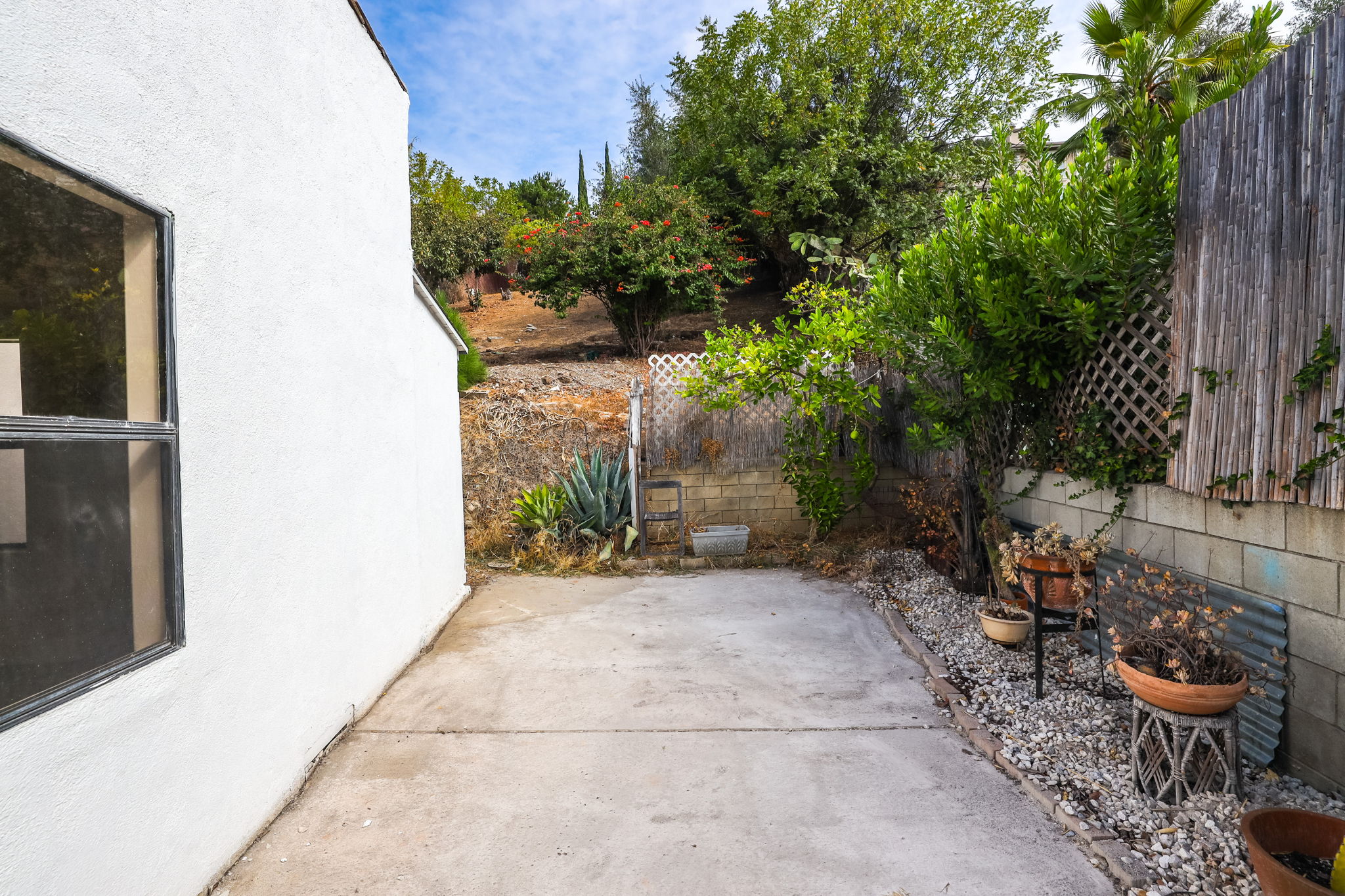  Photo 47