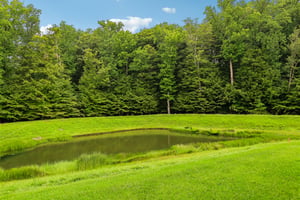Counterpoint Cir-S0209-044.jpg