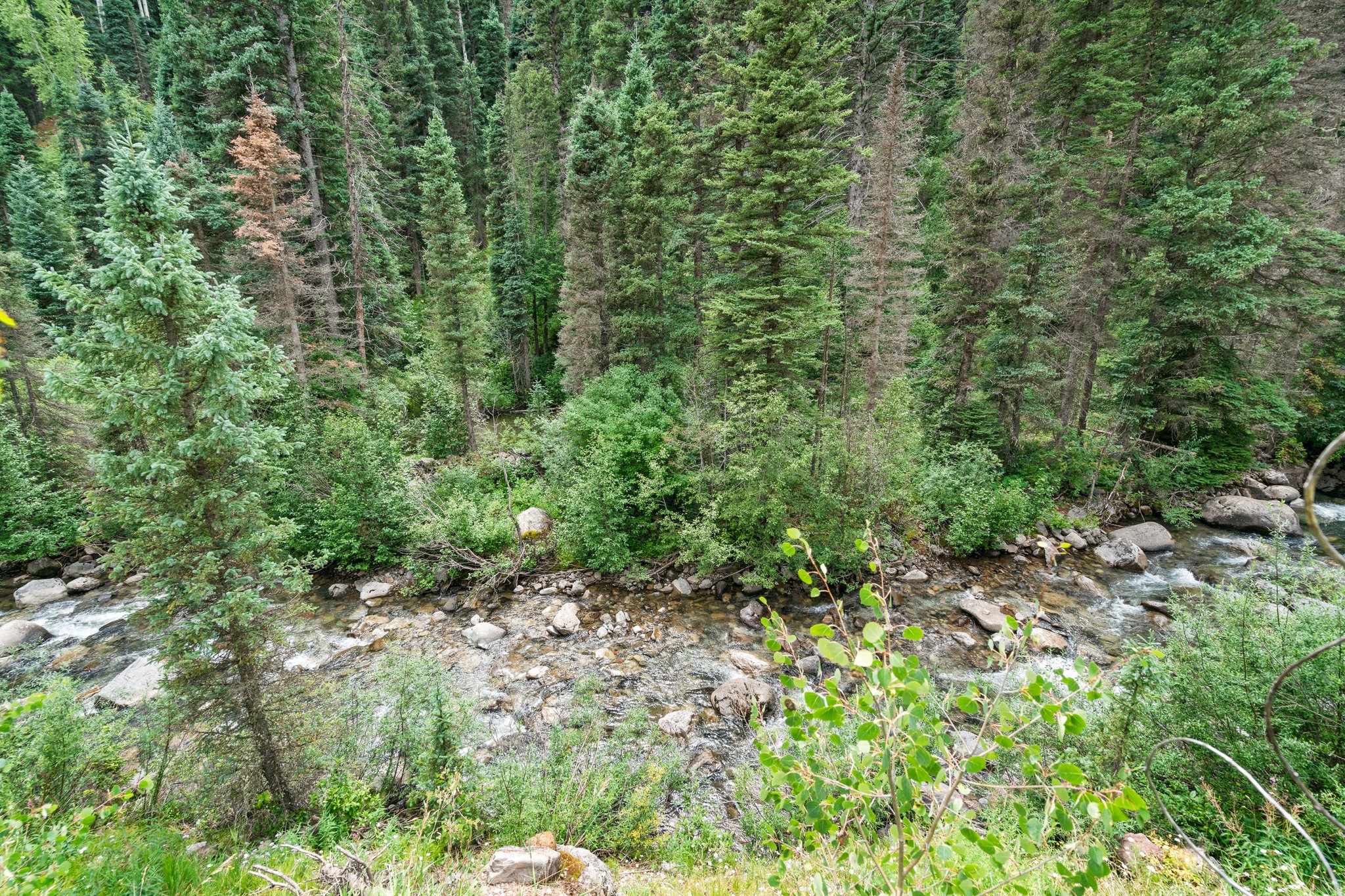  Photo 33