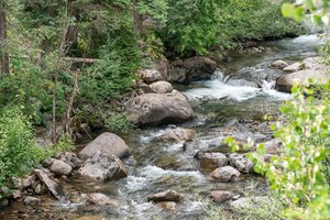  Photo 31