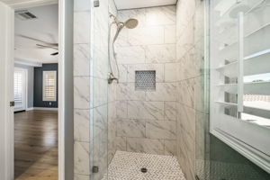 Primary Shower