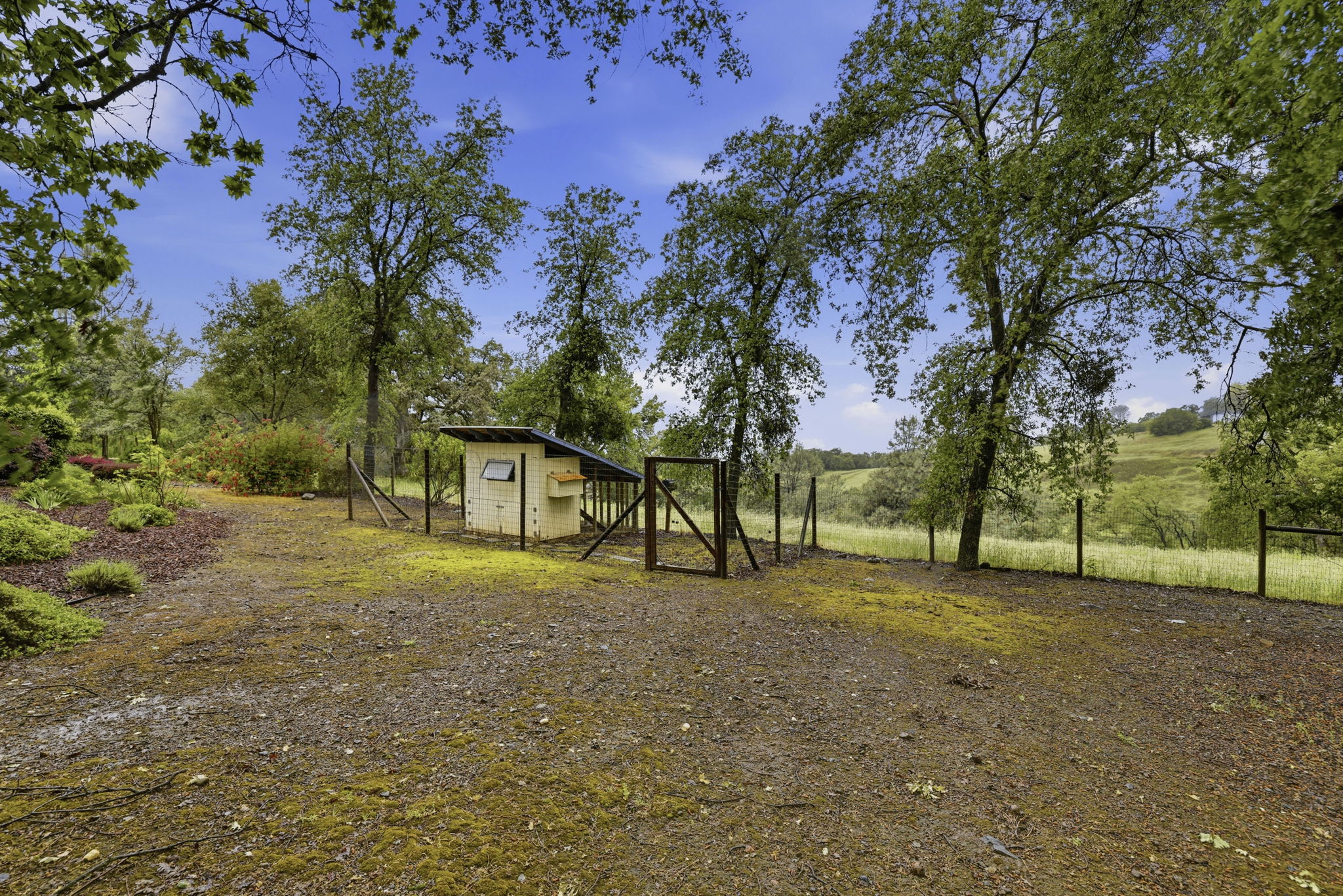 chicken coop