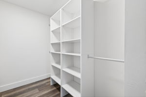 Primary Closet 2