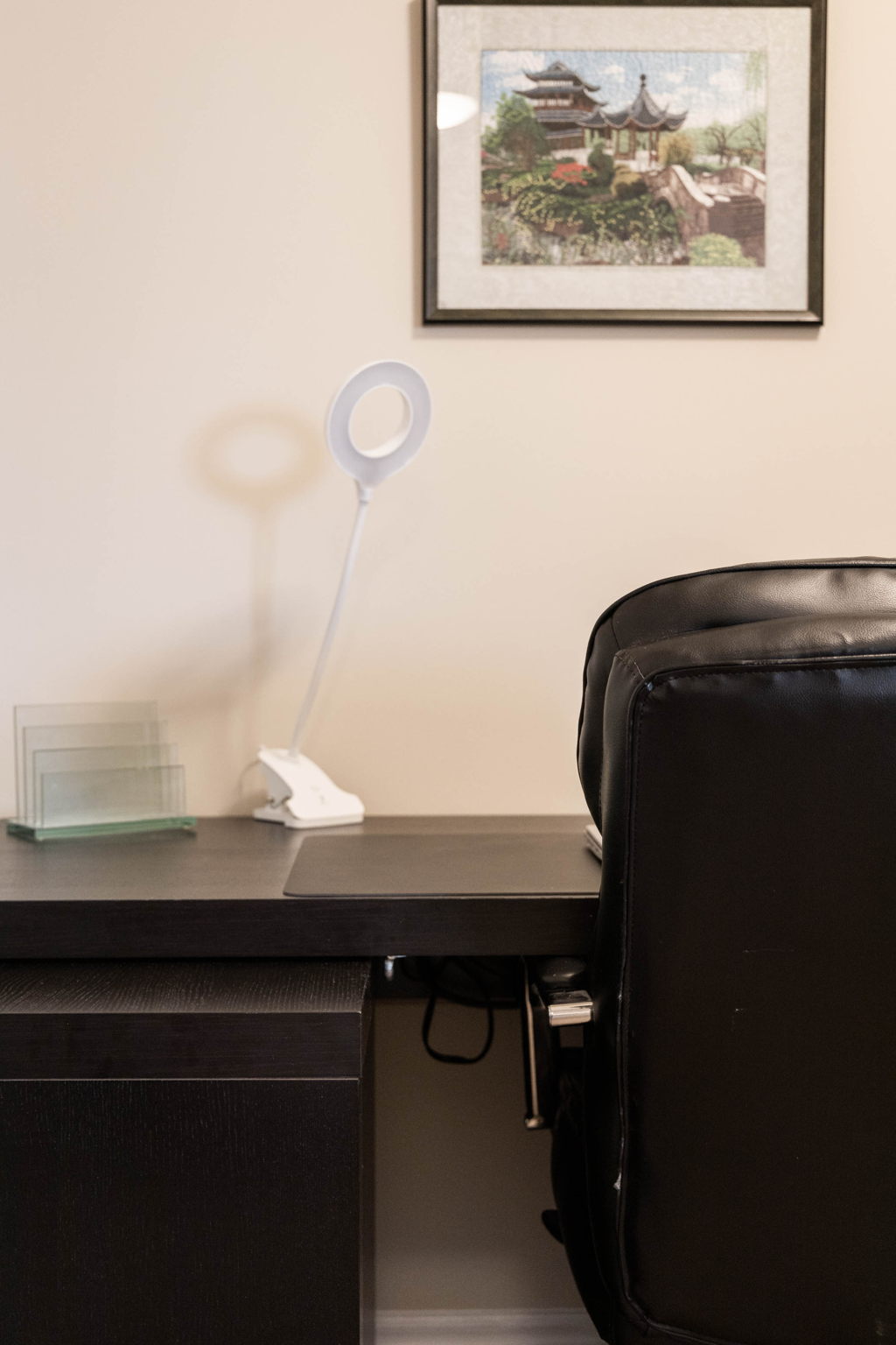 Toronto property showcase — delivered property photograph 31