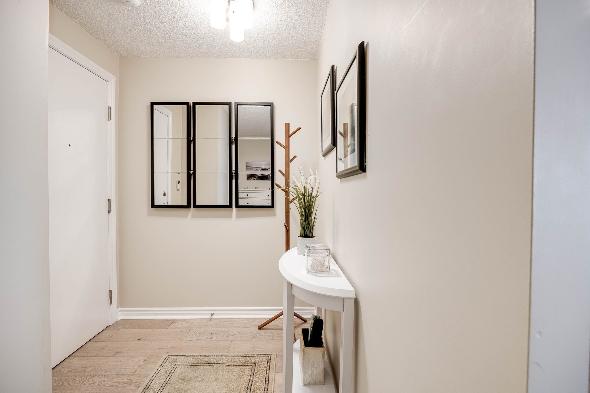 Toronto property showcase — delivered property photograph 24