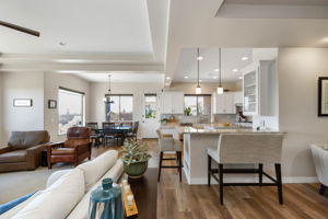 Living Room to Kitchen