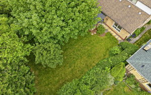  Photo 47