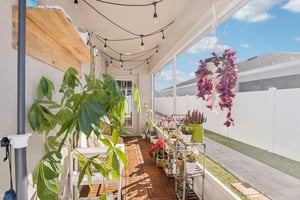 Valentina Ln-S1701-026.jpg