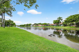  Photo 49