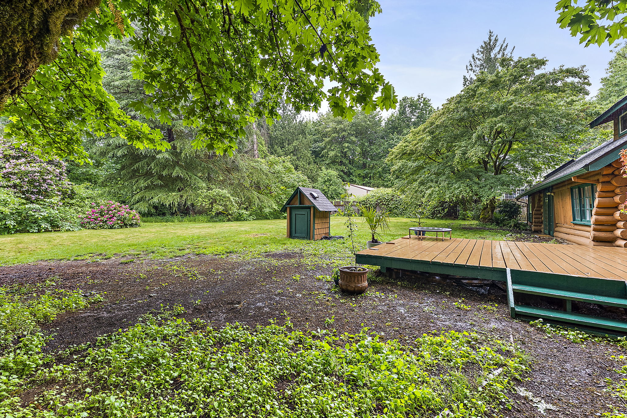 View of whole yard from the side of the garage.