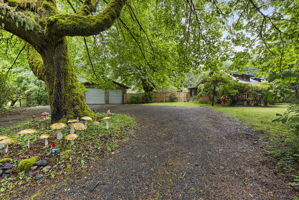 What am amazing property!