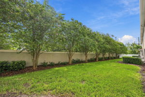 Backyard1