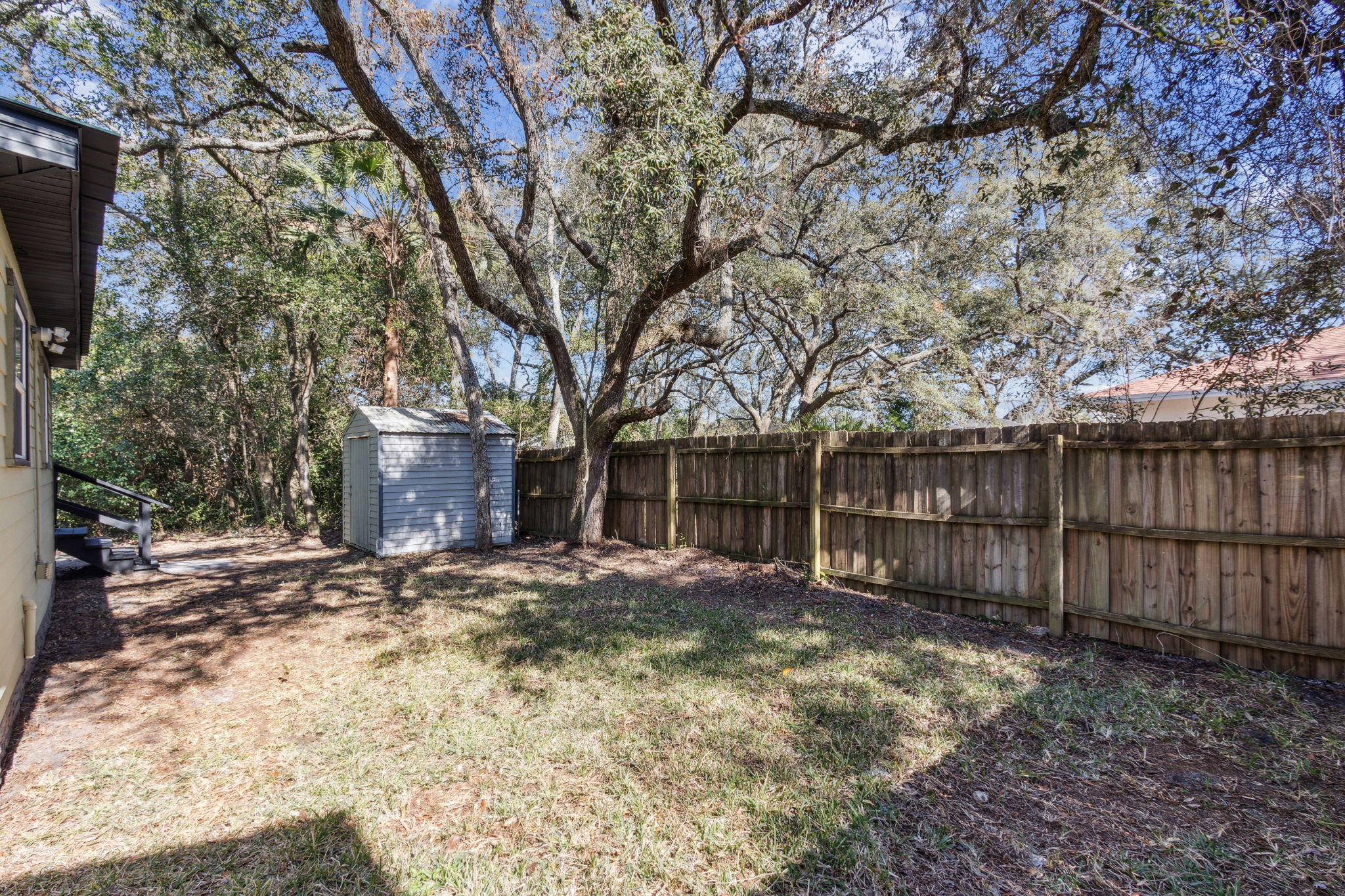 Backyard