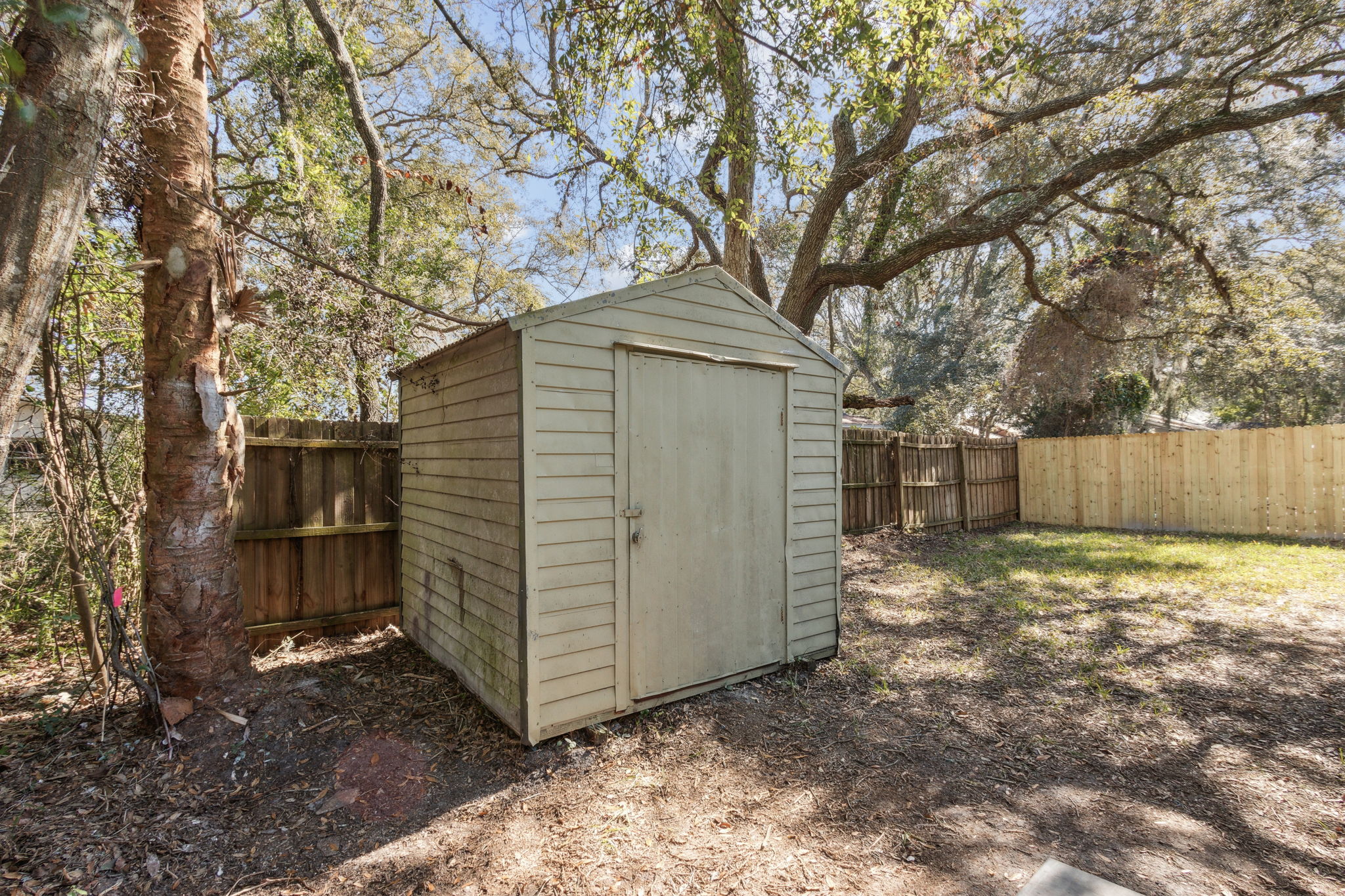 Backyard