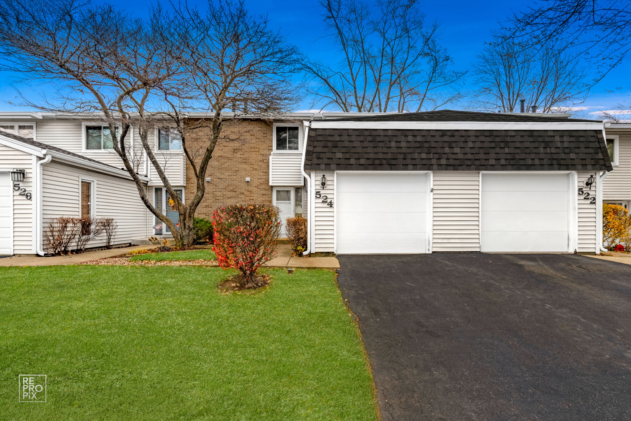 524 Jordan Way, Bolingbrook, IL 60440_001