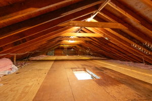 Photo 49