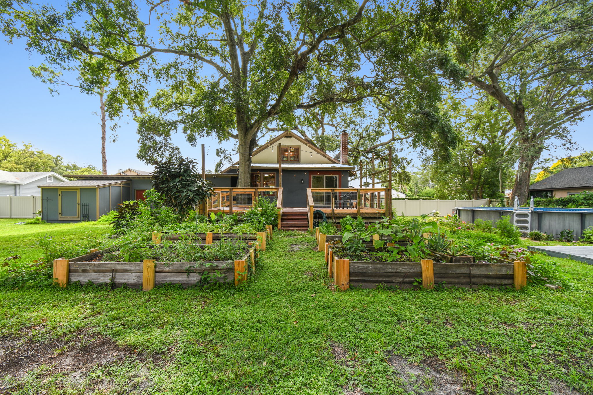 Grow your own veggies!